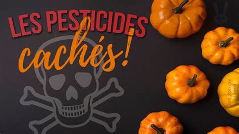 Des Pesticides Dans Nos Assiettes Youtube