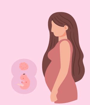Pregnancy: A Week By Week Guide