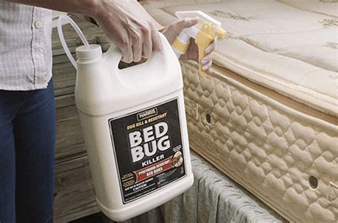 Fantastic pest control can send a pro to your bed bugs have an appetite for blood and they would gladly feed on humans. All Natural Sprays for Bed Bugs? - EnviroPest Solutions