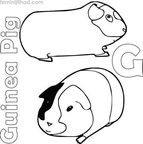 If you have a great love for guinea pigs, if you have one, or just really really want one, we have the next best thing… you can color them! Pin on Cavia kleurplaten