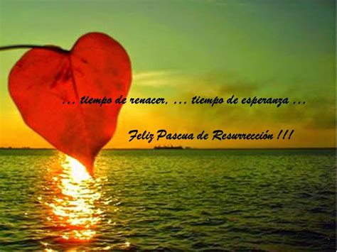 El domingo de resurrección o de pascua es la fiesta más importante para todos los católicos, ya que con la resurrección de jesús es cuando adquiere sentido toda nuestra religión. Conversaciones conmigo: Feliz Pascua de Resurrección a tod@s
