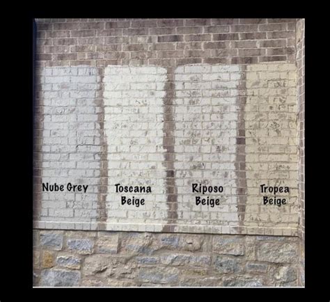 They are easy to use, affordable, and extremely low maintenance. Romabio Lime Wash in 2020 | Painted brick exteriors, Brick ...