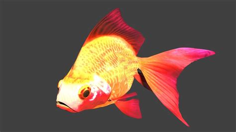 3d Model Animated Goldfish Cgtrader