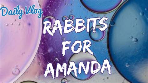 Rabbits For Amanda Youtube