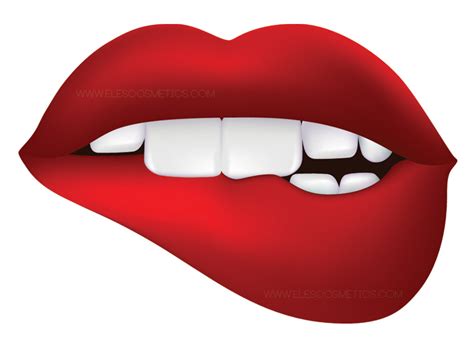 Free Lip Download Free Lip Png Images Free Cliparts On Clipart Library