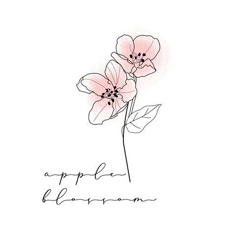Apple Blossom Line Art Clipart Blossom Illustration Apple Etsy Canada