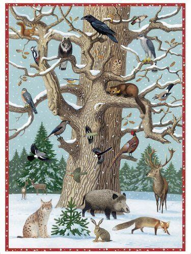 Malvorlagen waldtiere in 2020 waldtiere ausmalbilder ausmalbilder tiere. Tiere im Winter: Amazon.de: Thomas Müller: Bücher | Tiere ...