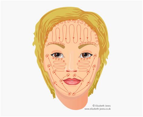 Ayurvedic Facial Massage Techniques Ayurvedic Face Massage Hd Png