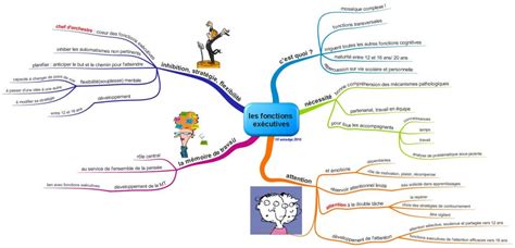 Les Fonctions Exécutives 1 Quelques Notions Fantadys