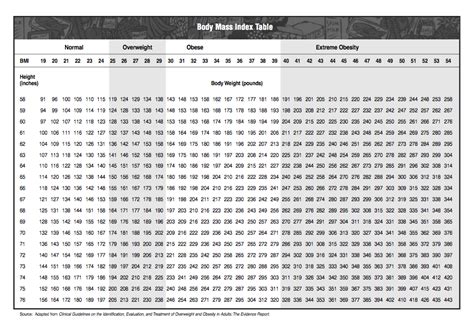 A 5, ft 3, inch female should weigh between. Free BMI Chart Templates Download | Top Form Templates