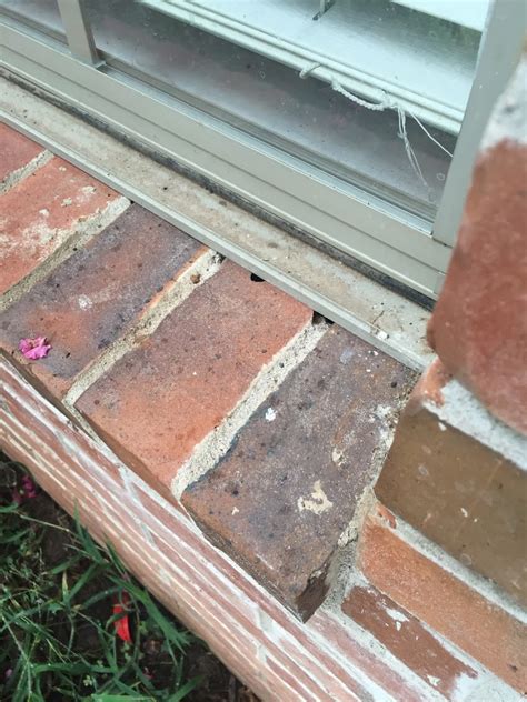Walls Should I Repair Small Gaps Between Brick Sill And Window Frame