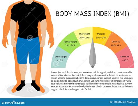 Body Mass Index Illustration Man Silhouettes Male Body With Different Weight Stock Vector