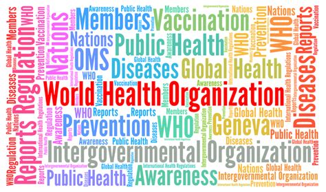 Medics concerned about the effects on public health of environmental degradation marched on the world health organization (who) in geneva on malaysia reports record coronavirus cases and deaths. Experts Call for World Health Organization to Rethink ...