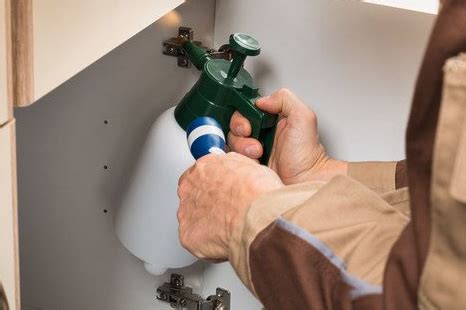 946 reiley road seguin, tx 78155. Marvin's Pest Control | Bee Removal | Lake Kiowa, TX