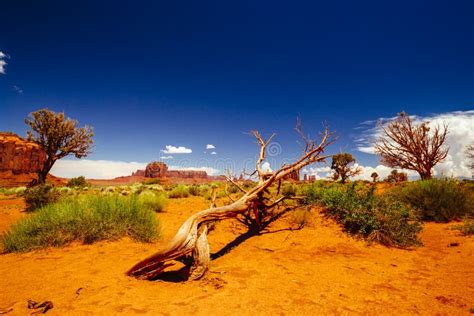 Monument Valley Navajo Tribal Park Arizona Usa Stock Image Image