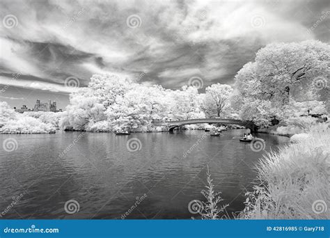 Infrared Image Of The Central Park Stock Image Image Of Snow Lake
