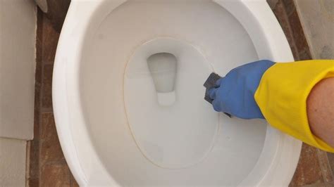 How To Remove Ring Around Toilet Storables
