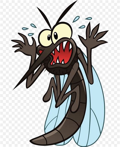 Mosquito Cartoon Png 669x1000px Mosquito Cartoon Gnat Insect Off