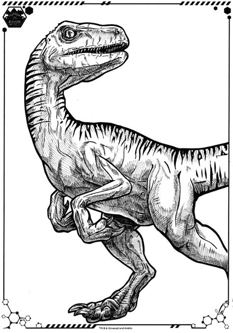 jurassic world coloring pages coloringrocks jurassic park tattoo dinosaur sketch blue