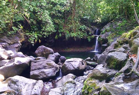 Paradise Pool Capesterre Belle Eau Guadeloupe Tourism