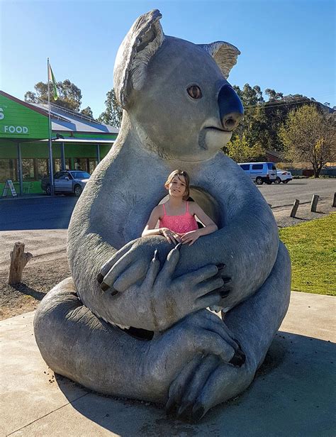 The Big Koala In Gundagai This Travel Life