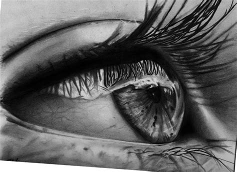 Amazing Photographs Of Eyes Showing The Lovely Emotions Incredible Snaps