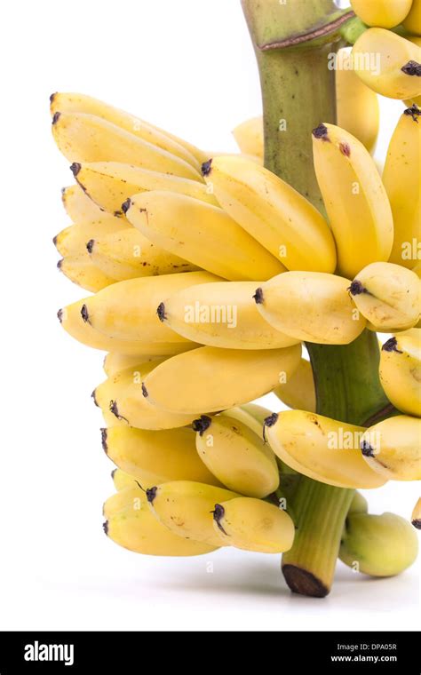 Banana Bunch Cluster Isolated On White Background Stock Photo Alamy