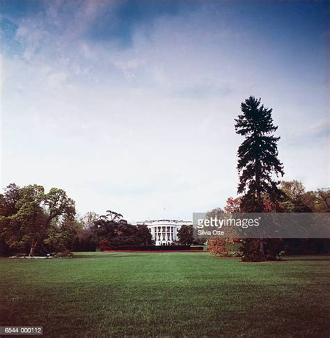 The White House Lawn Photos And Premium High Res Pictures Getty Images