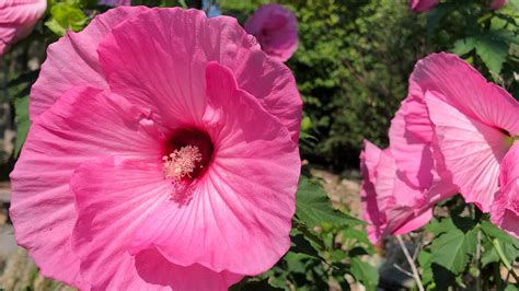 Weekend weather forecast for Augusta County