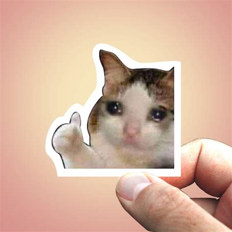 Crying Cat Thumbs Up Meme Sticker Sticker 203 Cat Meme Etsy
