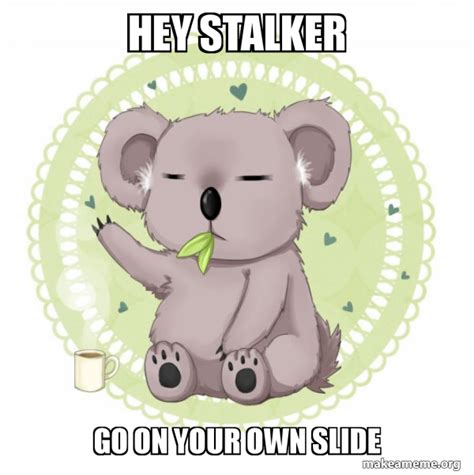 Hey Stalker Go On Your Own Slide Aussie Koala Doing The Night Shift