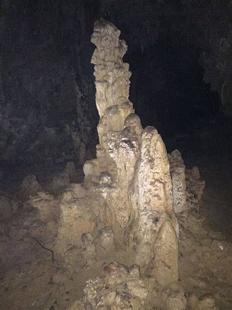 Cueva Del Viento Guajataka Forest Isabela Puerto Rico Puerto Rico
