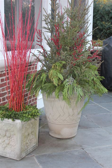 That wraps up this list of the best flower pots for outdoors. 5th and state: Winter Containers......Ideas for DIY