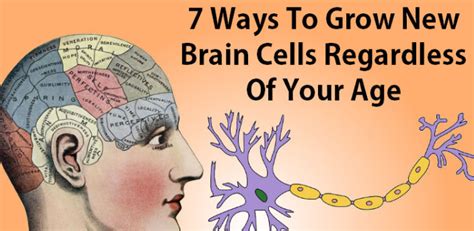 7 Ways To Grow New Brain Cells Regardless Of Your Age