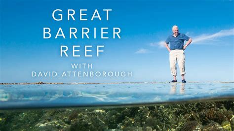How To Watch Great Barrier Reef With David Attenborough Uktv Play