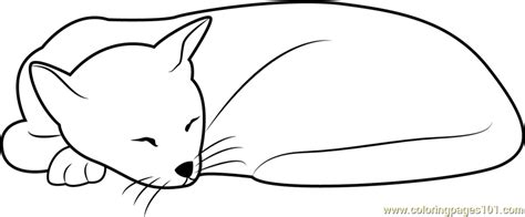 Sleeping Cat Looks Cute Coloring Page For Kids Free Cat Printable