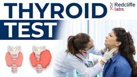 Thyroid Disease क कय Symptoms ह Different Types of Thyroid Tests