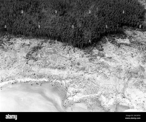 Los daños del tsunami de 1958 Lituya Bay Fotografía aérea desde agosto