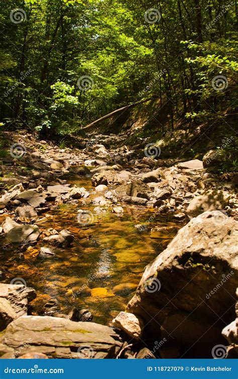 Creek Pool Surrounded By Rocks Stock Image Image Of Green Aquascapes