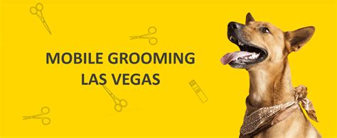 Top 10 Mobile Dog Groomers In Las Vegas You Need To Know