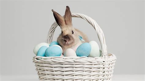 Top 5 Reasons We Celebrate Easter With A Bunny Howstuffworks