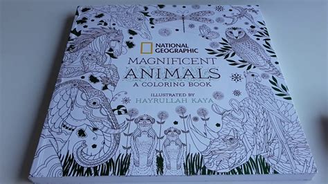 Review National Geographics Colouring Book Magnificent Animals Youtube