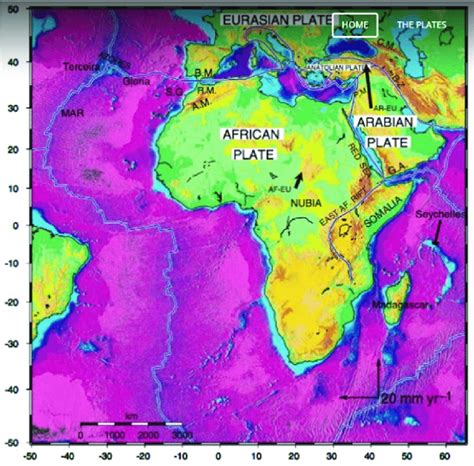 African Arabian Tectonic Plates Adapted From 17 Download