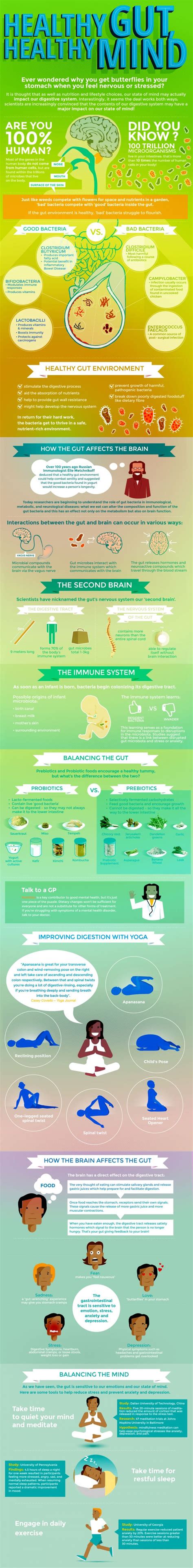 How Gut Bacteria Affects The Brain And Body Infographic