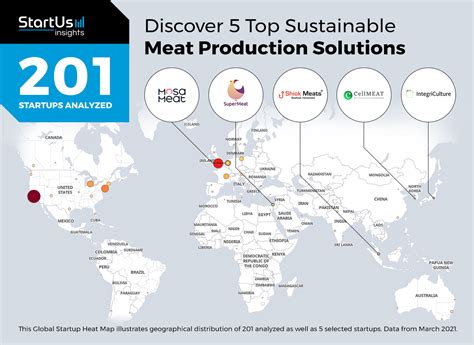 Discover 5 Top Sustainable Meat Production Solutions