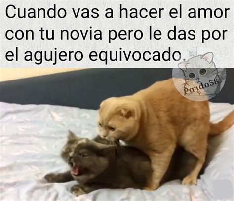 Top Memes De Amor En Español Memedroid