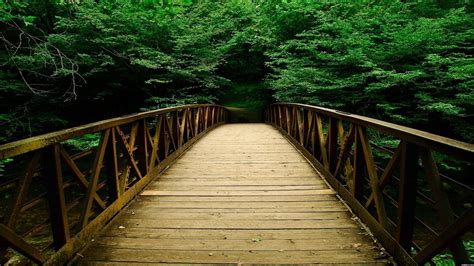 Your nature potrait stock images are ready. Latest Nature Wallpapers 2015 HD - Wallpaper Cave
