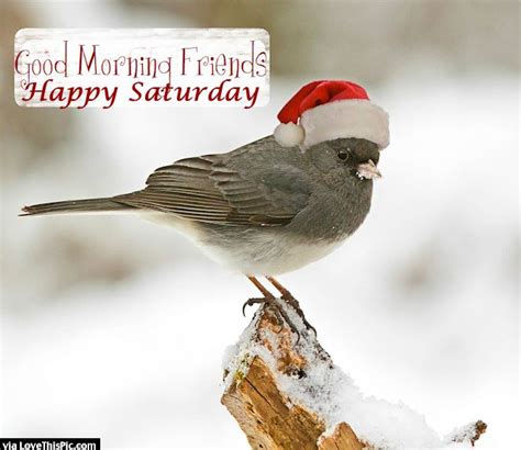 Good Morning Friends Happy Saturday Christmas Greetings Quotes