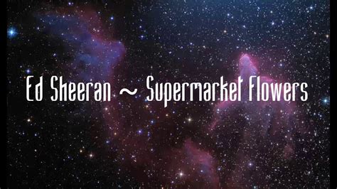 We did not find results for: Ed Sheeran ~ Supermarket Flowers Lyrics - YouTube