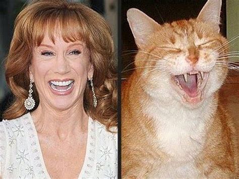 75 Best Separated At Birth Look Alikes Images On